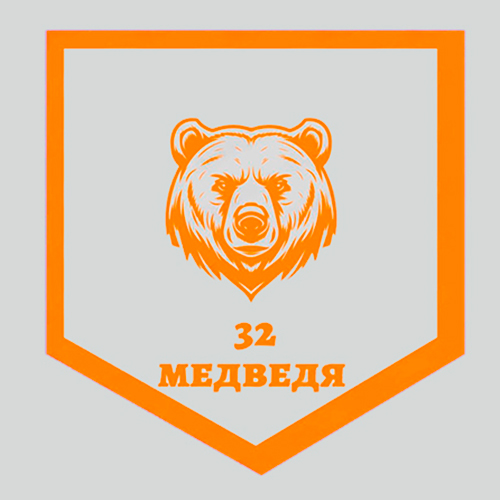 Медведи юноши